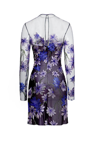 ILLUSION NECKLINE LONG SLEEVE DRESS