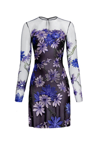 ILLUSION NECKLINE LONG SLEEVE DRESS