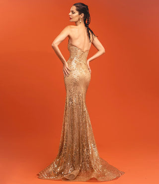 Embroidered Scoop Neck Bustier Gown