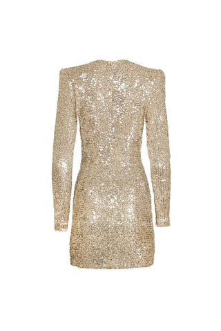 STRETCH SEQUIN RUCHED V-NECK DRESS WITH LONG SLEEVES