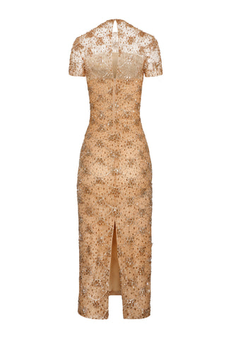 EMBROIDERED SHORT SLEEVE TEA-LENGTH DRESS